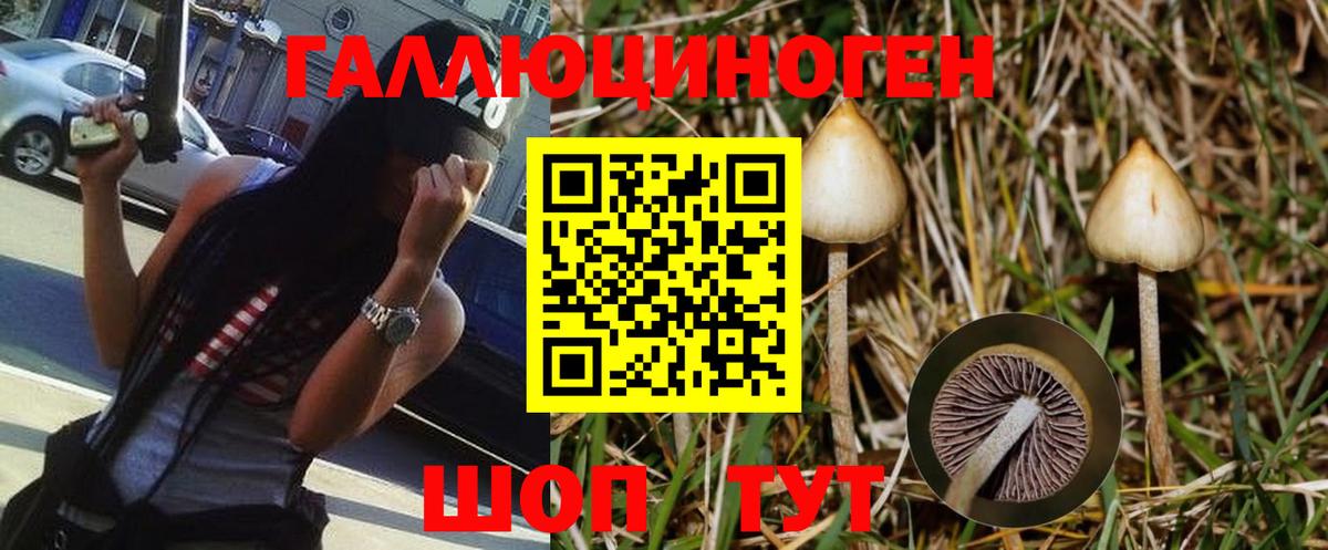 Тельмана  Псилоцибиновые грибы MAGIC MUSHROOMS  Псилоцибиновые грибы GOLDEN TEACHER  где купить наркоту  Вход с VPN 